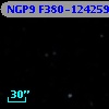 NGP9 F380-1242598