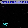 NGP9 F380-1282556