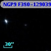 NGP9 F380-1290398