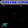 NGP9 F380-1298391