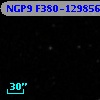NGP9 F380-1298560