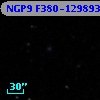 NGP9 F380-1298932