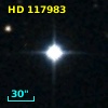 HD 117983
