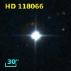 HD 118066