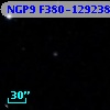 NGP9 F380-1292380