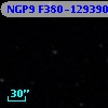 NGP9 F380-1293907