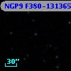 NGP9 F380-1313655