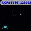 NGP9 F380-1295691