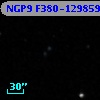 NGP9 F380-1298592