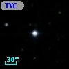 TYC 1462-303-1