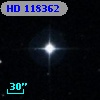 HD 118362