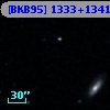 [BKB95] 1333+1341
