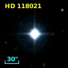 HD 118021