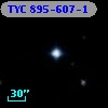 TYC  895-607-1