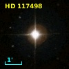 HD 117498