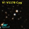 V* V1178 Cyg