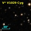 V* V1029 Cyg