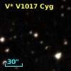 V* V1017 Cyg