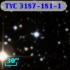 TYC 3187-181-1