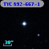 TYC  892-667-1