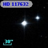 HD 117632