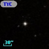 TYC  313-1292-1
