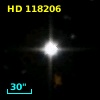 HD 118206