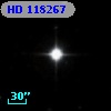 HD 118267