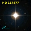 HD 117877