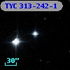 TYC  313-242-1