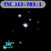 TYC  313-703-1