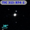 TYC  313-974-1
