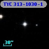 TYC  313-1030-1