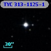 TYC  313-1125-1