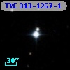 TYC  313-1257-1