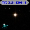 TYC  313-1308-1