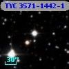 TYC 3571-1442-1