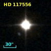 HD 117556
