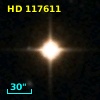 HD 117611