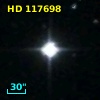 HD 117698