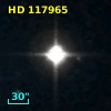 HD 117965