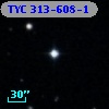 TYC  313-608-1