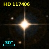 HD 117406