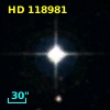 HD 118981