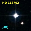 HD 118702