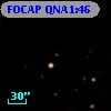 FOCAP QNA1:46