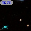 TG  75
