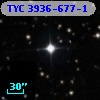 TYC 3936-677-1