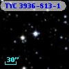 TYC 3936-813-1