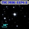 TYC 3936-1174-1
